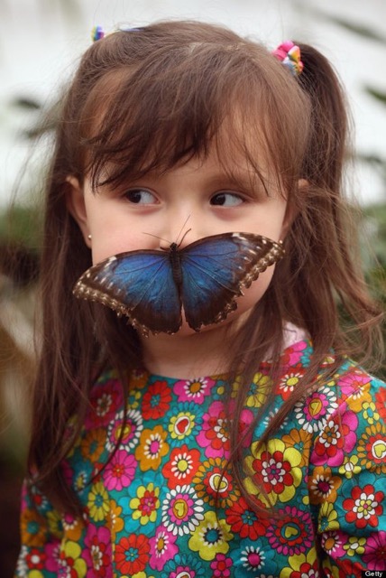 The Elite Nanny Company Guide to days out in London with kids: summer 2016 edition