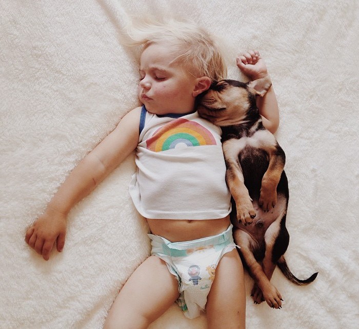 Family life with pets